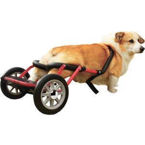 PaletteLife Adjustable Dog Wheelchair (Corgi), Hind Legs Rehabilitation, Pet Supplies, Leight-Weight Dog Cart, Wheels