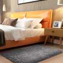 Ophanie 2x3 Small Rug Non Slip Throw Medium Gray Area Rugs, Fluffy Soft Carpet