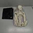 Belit Inflatable Coffin Cooler, 52 Inch Drink Containers for Halloween Party With Skeleton, Pool Party, Spooky Decor