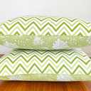 AVKA Studio Light Green Decorative Throw Pillow Covers - Reversible 100percent Pure Cotton Block Print Accent Pillows Set of 2 Floral Indian for Couch Bed Sofa Cover Only, 18x18 Inches