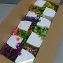 Cindeer 16 Pcs Small Fake Plants Artificial Potted Plants Faux House Plant Mini Pot Plastic Flowers for Indoor Outdoor Home Kitchen Office Desktop Wedding Decor