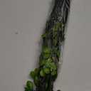 4 Pcs Artificial Greenery Stems Plants 35.4" Faux Branches for Vase Filler Fake Ficus Twig Plants for Home Office Party Wedding Shop Decoration