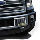 Front Bottom Bumper Moulding Chrome Cover trims Kit for 2015 2016 2017 Ford F150 F-150 Accessories