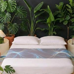 Grounding Sheets with Stay-Put Elastic Straps - Premium Conductive Silver Fiber & Organic Cotton - Earth Sheets for Better Sleeping, Recovery & Stress Relief - 15ft Grounding Cable Included