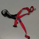 PetSafe Easy Walk No-Pull Dog Harness - Ultimate Harness to Help Stop Pulling - Pull-Free Walks - Take Control & Teach Better Leash Manners - Patented Martingale Loop Design - Red, Small/Medium