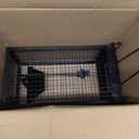 2 Packs Humane Rat Trap Outdoor Mouse Traps Indoor Use, Rodent Chipmunk Traps for Small Live Animal Catch and Release - Black