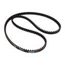 1-1/8" 137 Tooth Rear Drive Belt Compatible with 2004 2005 2006 Harley Davidson Sportster XL 1200 Replace 40571-04B 1204-0085