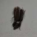 MARRTEUM 5 Style 10-12 Inch Natural Feathers, 20 Pcs Large Assorted Mixed Spotted Pheasant Peacock Turkey Feathers Decorative Bulk for DIY Crafts, Vase, Hat, Clothing, Wedding, Home, Party Decoration