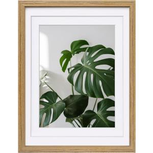 Egofine 12x16 Picture Frame with Plexiglass Made of Solid Wood, Display Pictures 9x12/11x14 with Mat or 12x16 Without Mat for Tabletop and Wall Mounting, Carbonized Brown