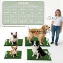 HQ4US 4LEGS Artificial Grass, Dog Pee Grass Pads for Dogs Potty, 2PCS Odor Free Fake Grass for Dogs X-Large 4332 with Countless Drainage Holes, Dog Potty Grass Hemmed Edge Realistic