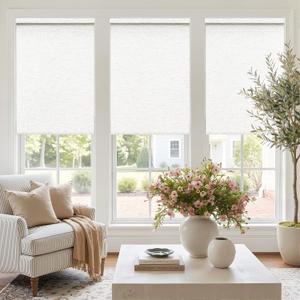 Birch Ivory Cordless Roller Shades Non See Through Blinds 34.5" W x 72" H