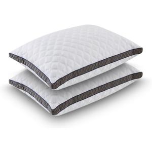 JJDANFILL Rayon Derived from Bamboo Pillow Queen Size, Shredded Memory Foam Pillows for Sleeping, Adjustable Firm Pillow for Back, Stomach, Side Sleeper - Washable Cover, 20 * 30 2 Pack