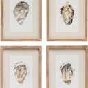 Creative Co-Op Wood Framed Wall Dcor with Oyster Print, Multicolor, Set of 4