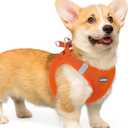 Rabbitgoo Small Dog Harness, Step-in Soft Mesh Puppy Vest with Safety Buckle, Breathable Reflective Pet Harness for Small Medium Dogs, Orange L (L(Chest:18.2"-20.5"))
