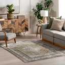 Nuloom Fringed Performance Charvi Light Brown/Beige, 4' x 6'5", Distressed Medallion, Soft and Cozy, High Traffic, Stain Resistant, Easy Clean, Durable Area Rug for Bedroom, Living Room, Dining, Den