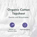 Rael Disposable Underwear for Women, Organic Cotton Cover - Postpartum Essentials, Leak Locker, Unscented, Maximum Coverage (Size S-M, 20 Count)