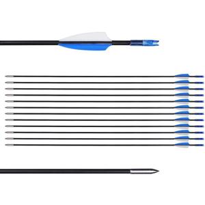 LWANO 31" Training Arrows-Archery Practice Target Arrows for Kids Youth or Beginners with Durable Shaft on Recurve Bow Compound Bow and Longbow (12pas Arrows, Blue)
