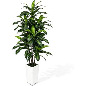 6FT Artificial Dracaena Tree with Tall White Planter - Large Fake Tree with Lifelike Leaves - Tall Faux Floor Plants for Indoor Outdoor, Artificial Trees Indoor for Home Office Room Decor