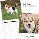 4 x 2026 Wall Calendar - Calendar 2026: January 2026 - December 2026, 12" x 24" (Opened), Full Page Monthly View, Thick & Sturdy Paper for Gift, Perfect Calendar Organizing & Planning - Dogs Theme (Green)