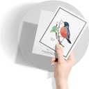 Twigs Paper - Assorted American Birds Greeting Cards - Stationery Cards with Envelopes - Thank You Card - Blank Note Cards - Greeting Cards for All Occasions - Made in USA (5.5 x 4.25, Set of 12)