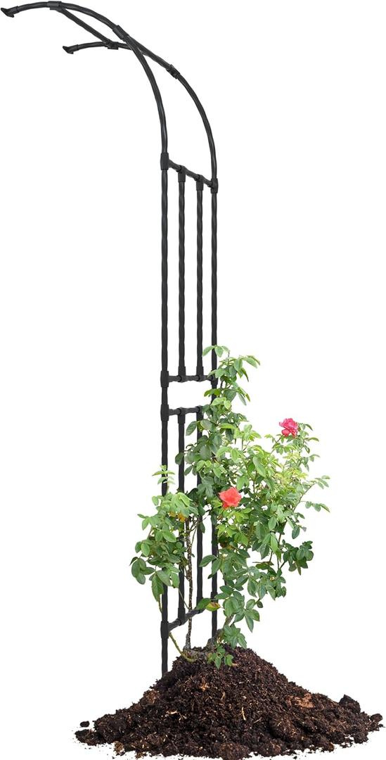 Half Sided Arch Against The Wall Garden Trellis - Garden Arch Arbor Trellis for Climbing Plants Outdoor - Garden Arch for Home Yard and Garden (Length: 24 * Height: 94.5in, Width: 15.8 inch)