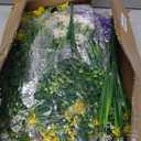 BLEUM CADE 34 Bundles Artificial Flowers for Outdoors, UV Resistant Fake Outdoor Flowers, Realistic Faux Outdoor Flowers for Decoration, Outside Fake Plants for Porch Garden Decor