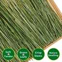 Timothy Hay, 2.2LBS Small Pet Feed