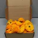 Hananona 50Pcs Artificial Marigold Flower Heads, Silk Marigold Heads Bulk Fake Flowers for Dia De Los Muertos Decor DIY Marigold Garland Day of The Dead Decorations (Orange)