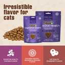 5 x Get Naked Digestive Health Crunchy Cat Treats 2.5oz - Chicken Flavor, Grain-Free Cat Probiotics for Indoor Cats, Supports Healthy Digestion, Dental Health & Immunity, Made in The USA