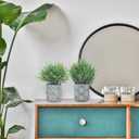 4 Pack Small Fake Plants, Fake Grass Plant, Artificial Boxwood & Rosemary, Lavender with Geometric Pattern Cement Pots, Small Potted Faux Greenery for Home Decor, Office, Indoor&Outdoor Decor