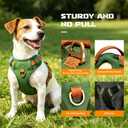 No-Pull Reflective Dog Harness with Handle Soft Padded Vest for Small Dogs Heavy Duty Adjustable Anti-Choke Pet Harness with Front & Back Clip Harness for Walking, Training (Green, XS)