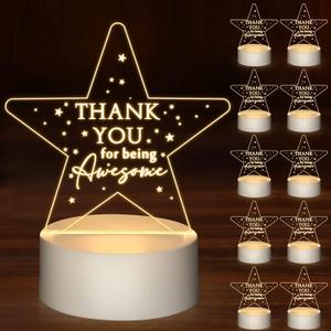 Sumind 10 Pcs Thank You Gifts in Bulk Valentines Gifts for Teacher Employee Coworker Appreciation Acrylic Night Light LED Engraved Lamp with Base for Volunteer Team Staff Social Work Medical Assistant