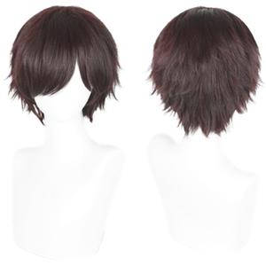 30cm Mixed Brown Hiccup Cosplay Wig Synthetic Anime Halloween Costume Party Wigs