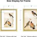3x4 Picture Frame, Brass Metal Photo Frames with HD Glass, Fits 2x3 with Mat or 3 x 4 without Mat, Display for Wall and Table, 1 Pack