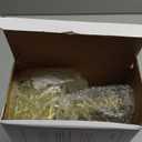 Super Money Guns Paper Playing Spary Money Make it Rain  Handheld Cash Fake Bill Dispenser Money Shooter Toy(Metallic Gold)