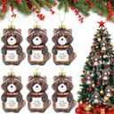 6 Pcs Raccoon Christmas Ornament Funny Raccoon Gifts Glass Blown Christmas Tree Hanging Ornament, Handmade Sparkling Glass Xmas Decorations for Women, Birthday Party