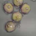 Tuxiaobu Fake Onion, 6 Pcs Faux Plastic Onions, Artificial Fruit Decoration