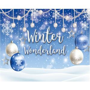 Funnytree 10x8ft Winter Wonderland Backdrop Blue Boy Baby Shower Birthday Party Christmas Snowflake Snow Landscape Photography Background Bokeh Glitter Pearl Decor Photo Booth