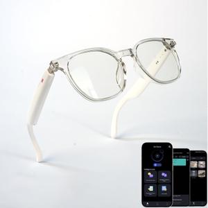 Smart Audio Glasses