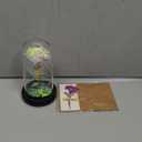 Childom Birthday Gifts for Women,Christmas Flowers Gifts for Her,Women,Mom,Wife,Grandma,Light Up Rose in Glass Dome,Colorful Rainbow Flowers for Christmas,Anniversary,Valentines,Birthday