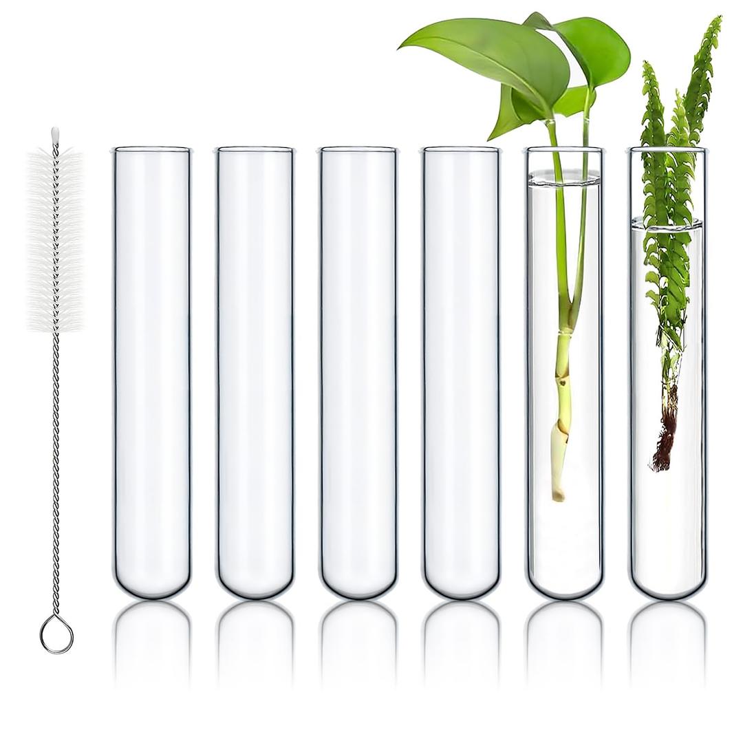 6pcs 100ml Large Glass Test Tube, 30x200mm Propagation Tube for Plant, 3.3 Borosilicate Clear Big Glass Test Tube Vase for Scientific Experiments Party Office Desktop Flower Decoration Wedding