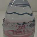 Evian Natural Spring Water, 1.5 L bottle (Pack of 12)