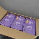 Basics Incontinence Underwear for Women, Protective, Disposable, Postpartum, Maximum Absorbency, Medium, Lavender, 60 Count (3 Packs of 20)