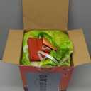 COMIN Adult Inflatable Dinosaur Costume Riding T Rex Funny Dress Halloween Costume for Men Women (63")