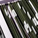 Hanging File Folders, RAZCC 60 Pack Reinforced Hanging Folders Letter Size, Designed for Bulky Files, Filing Cabinet, Adjustable Tabs, Green