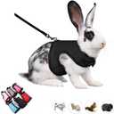 Ferret Harness and Leash,Young Rabbit Harness and Leash Set Eescape Proof Mesh Walking Training for Rat Hamster Ferret Squirrel Small Animal Pets Harness,Black M