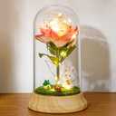 2 x Pink Roses from Daughter for Mom Mothers Day, Beauty and The Beast Rose, with LED Light Up Rose in Dome, for Wife Grandma Christmas Day Valentine Day Birthday for Her Gift (1 Pink Rabbit)
