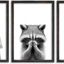 Adorable Raccoon Bathroom Wall Art Decor Set of 3 16x11 Inch Modern Funny Bathroom Sign Wood Framed Rustic Farmhouse Interestring Washroom Animal Prints Wall Hanging (Black)