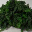 Hananona 6 FT Artificial Cedar Garlands, Real Touch Winter Cedar Cypress Garland, Green Artificial Greenery Pine Garland for Table, Mantle, Wall, Indoor, Outdoor Christmas Decorations (1, 6 FT)