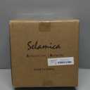 Selamica 8 inch Porcelain Dinner Plates, Large Size Serving Plate for Salad, Pancakes, Steak, Set of 6, Assorted Colors